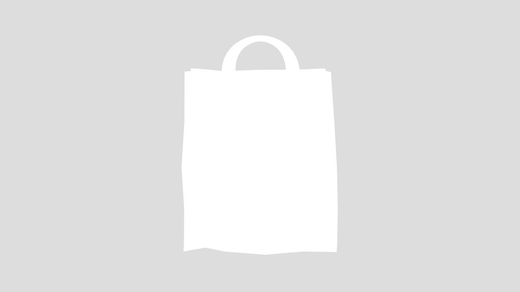 Paper Grocery Bag