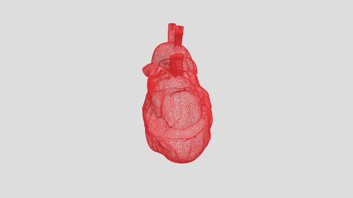 Heart-Shaped Red Wired Frame. 3D Model