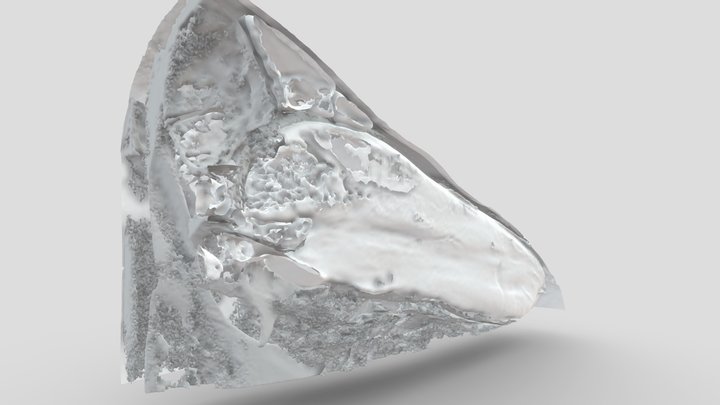 Archive 3D Model