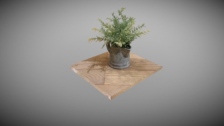 Small plant in jug on wooden floor 3D Model