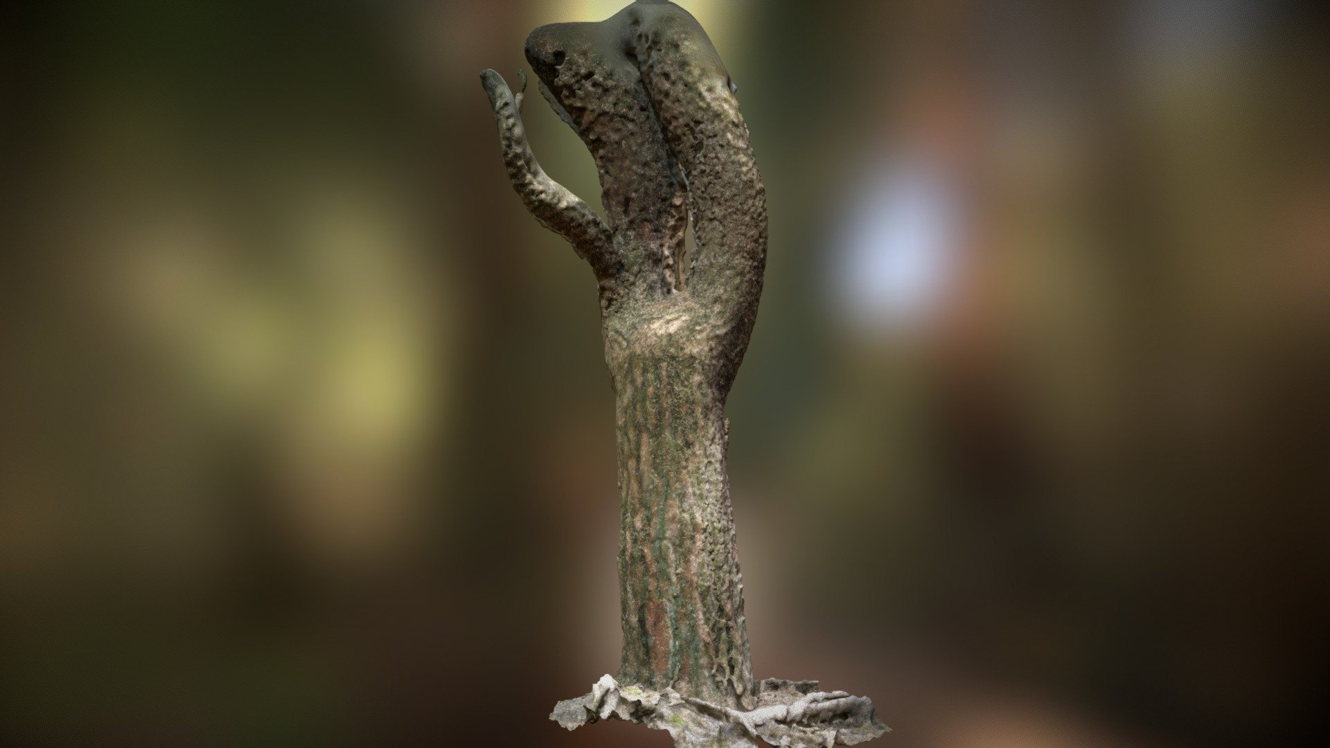 Tree 3D Scan | Matterport Scenes