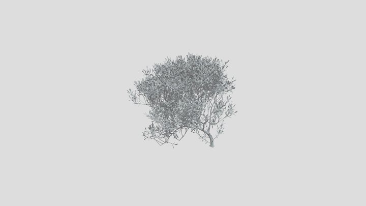 Olive Tree Bent Small – Gratis 3D-model STL