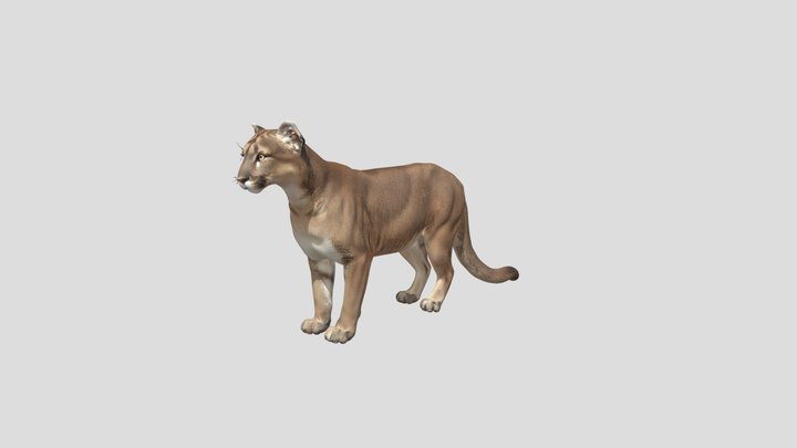 Cougar In Profile – Kostenloses 3D-Modell STL