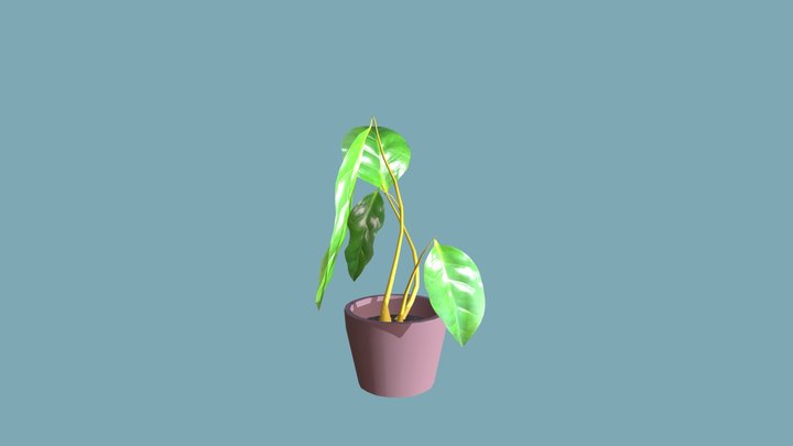 Simple Plant 3D Model