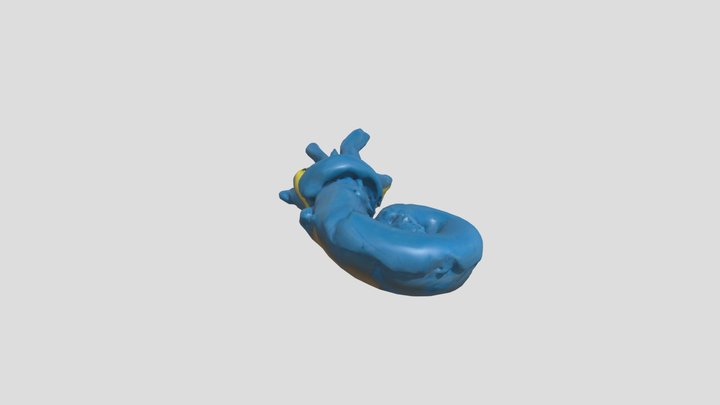 Actress the fossil – Modello 3D gratuito STL