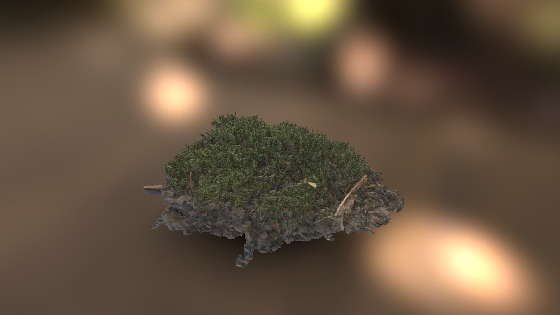 Moss Clump 3D Scan - Download Free 3D model by Arkify 3D (@arkify ...