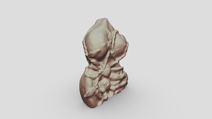 rope 3D Model