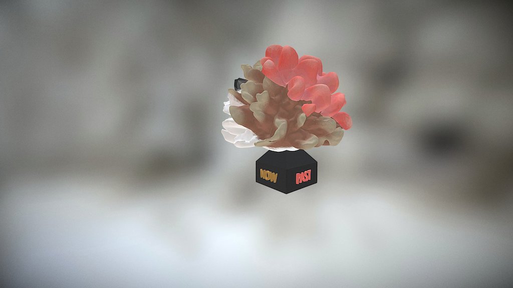 Coral Fusion
