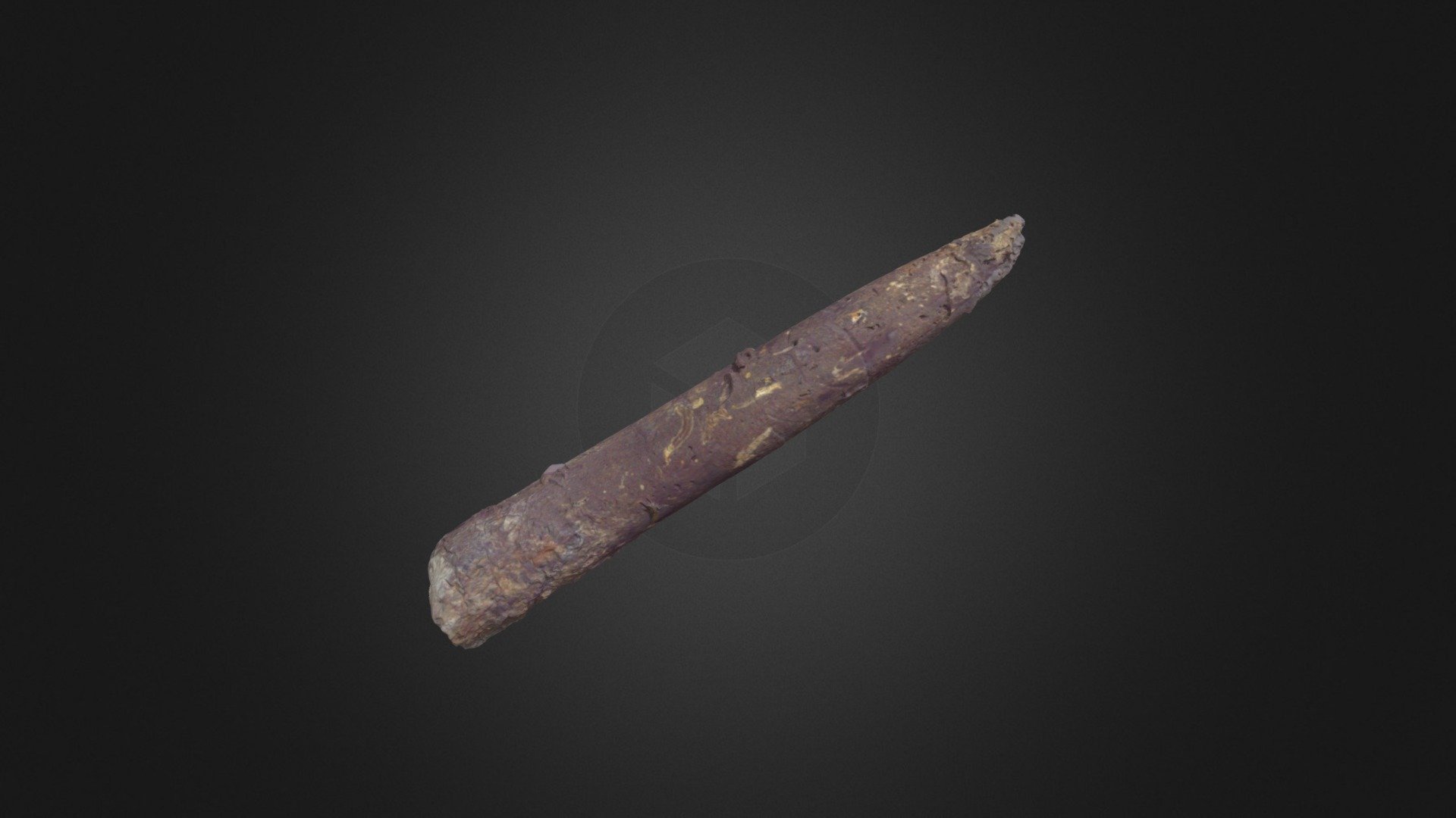 Belemnite indet. — Sketchfab embed 3D viewer