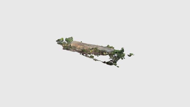 岩屋山裾の磐座(東側) 3D Model