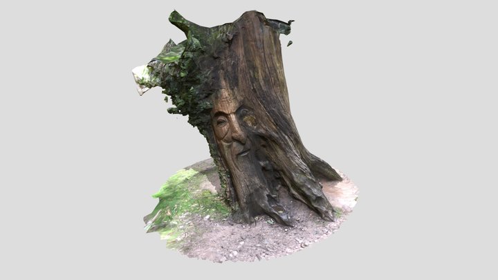 Face carved tree 3D Model