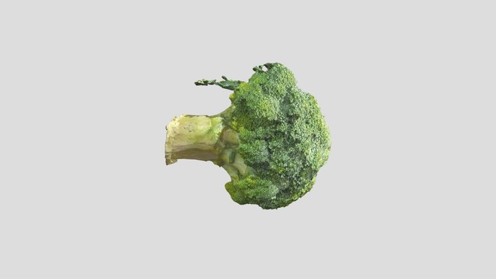Broccoli 3D Model
