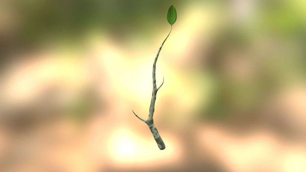 Merged Leaflowpoly 2
