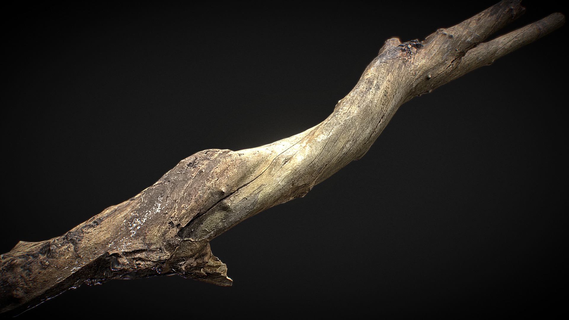 3D model Barkless-wood 03 - This is a 3D model of the Barkless-wood 03. The 3D model is about a branch with a dark background.