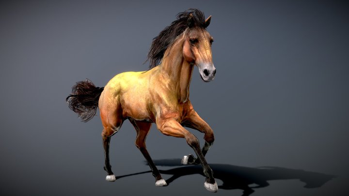 Horse — Spanish Mustang ( Dun ) 3D Model