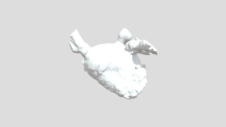 Bub_LA_CT 3D Model