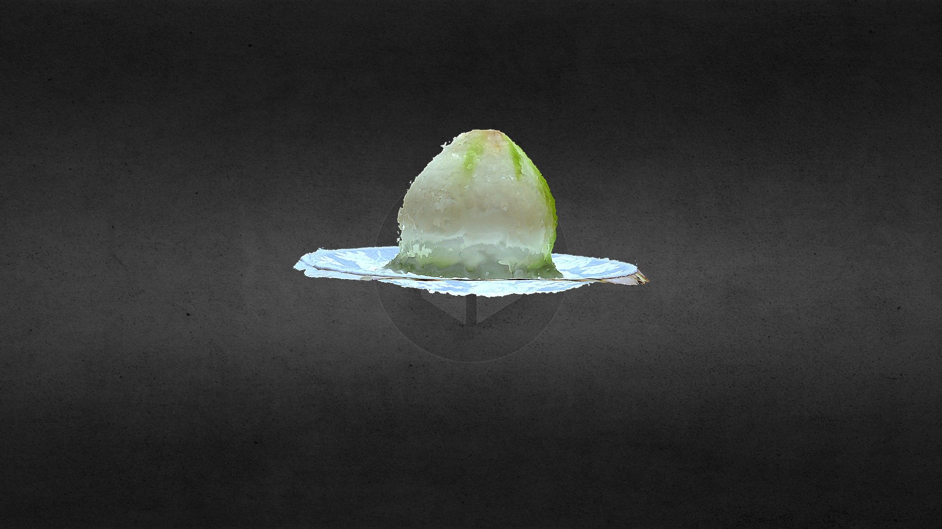 Onion1