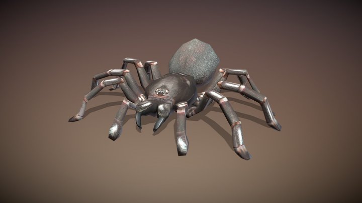 Funnel-Web Spider (Atrax robustus) 3D Model