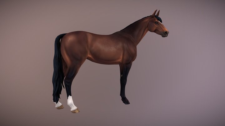 Swedish Warmblood 3D Model