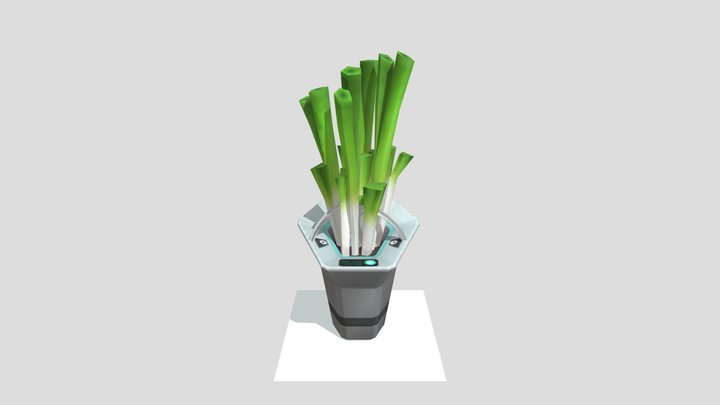 Bucket of Leeks