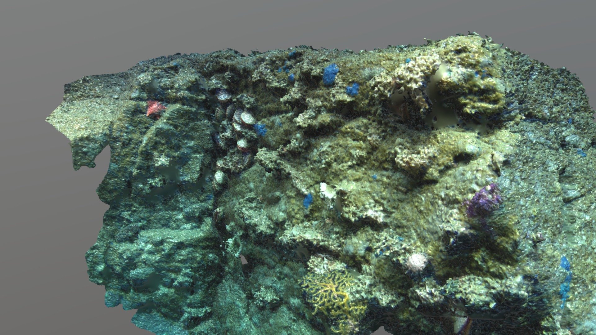 2017 Sea Rover Photogrammetry 04