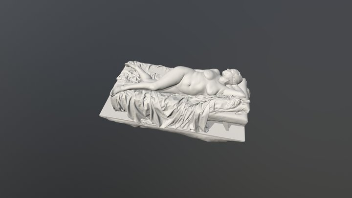test model 3D Model
