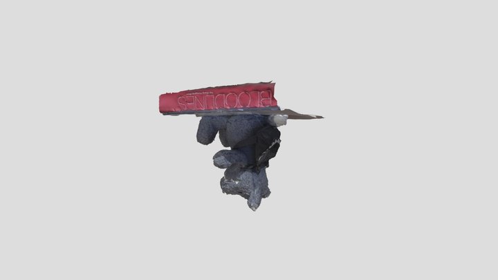 model 3D Model