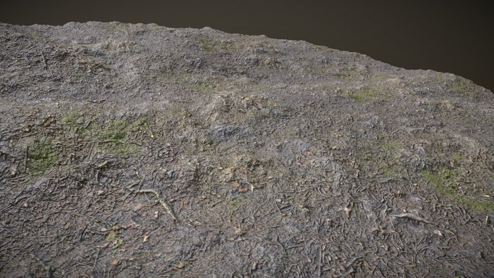 Ground (House In The Woods Project) – Modello 3D gratuito STL