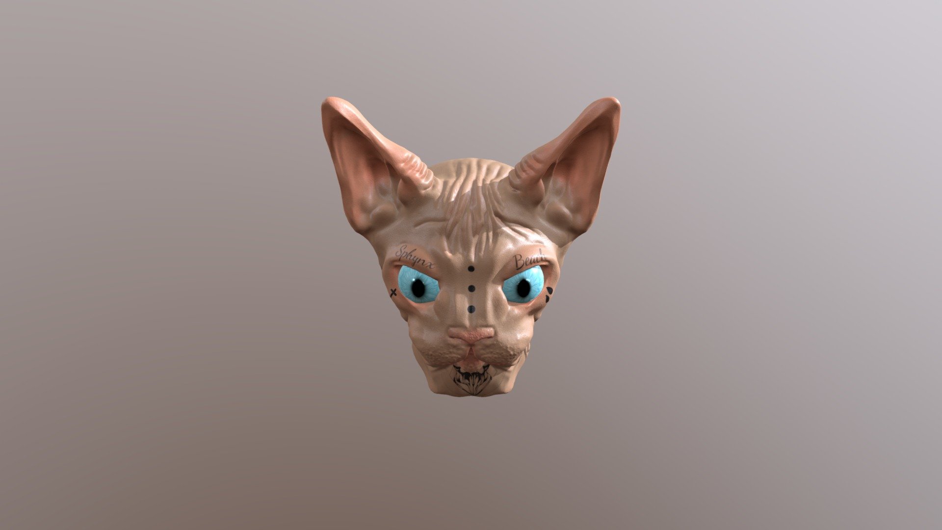 Sphynx Low