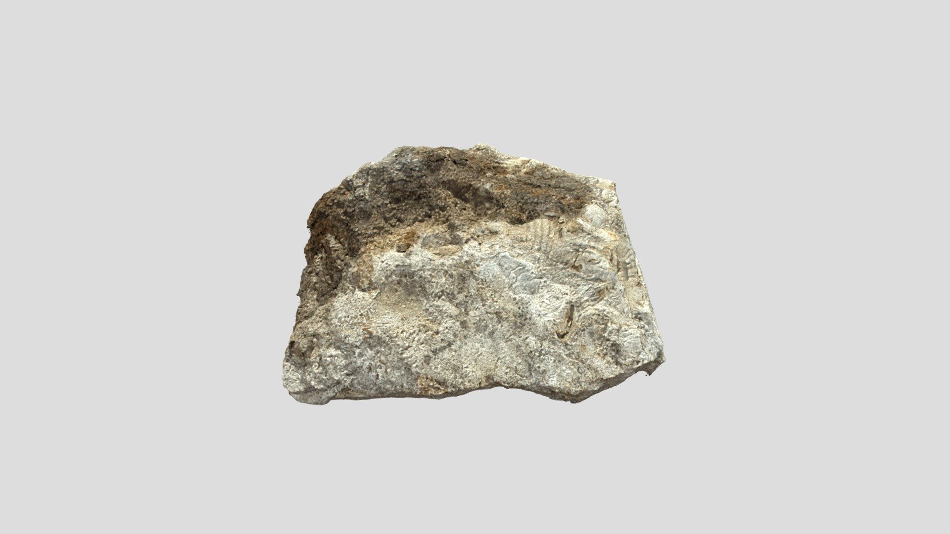 Fossil - Sedimentary Rock - 3D model by j.r.whitlatch [15f7c27] - Sketchfab