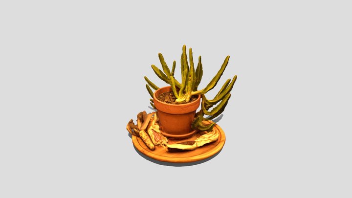 Corpse Cactus 3D Model