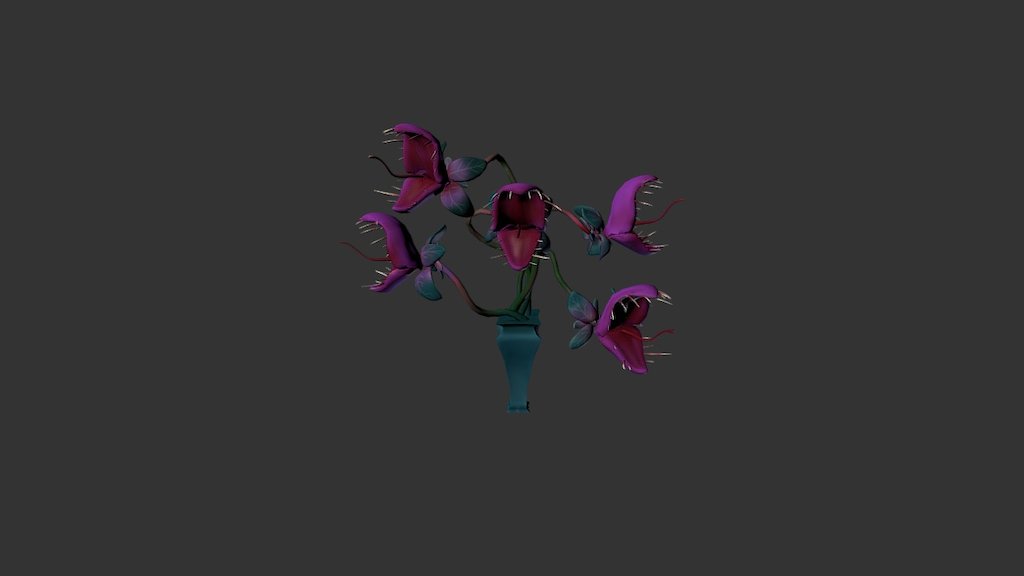 Venus Fly Trap