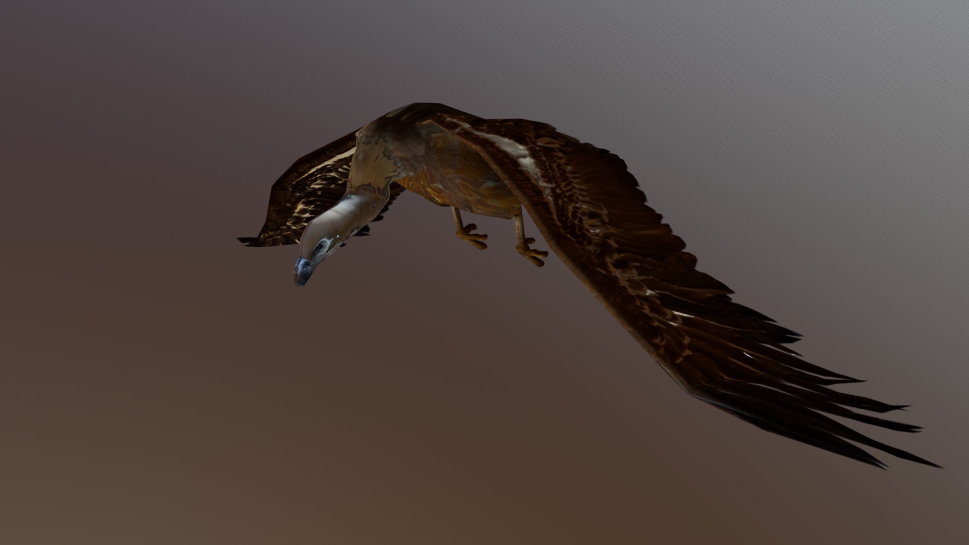 3D model African animals – Sip - This is a 3D model of the African animals - Sip. The 3D model is about a bird flying in the sky.