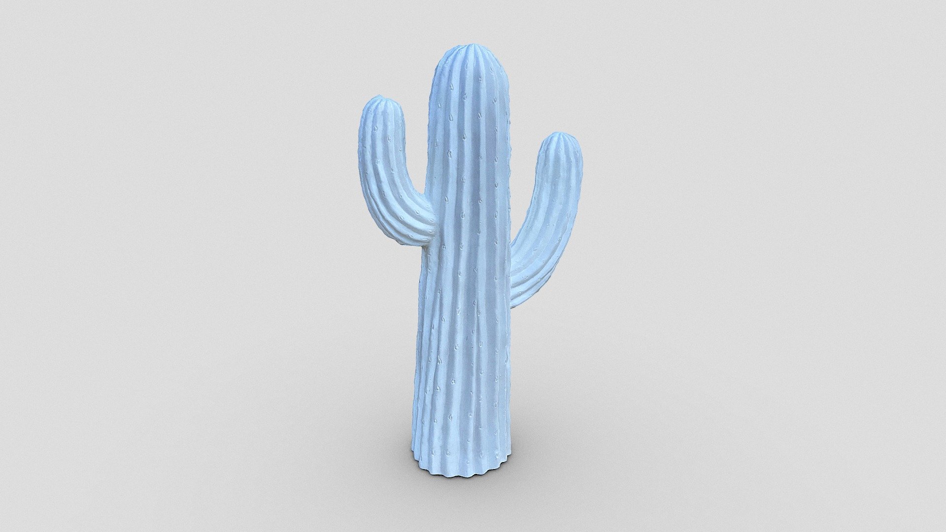 White cactus 🌵