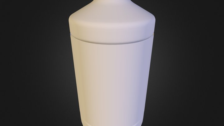 bouteille.obj 3D Model