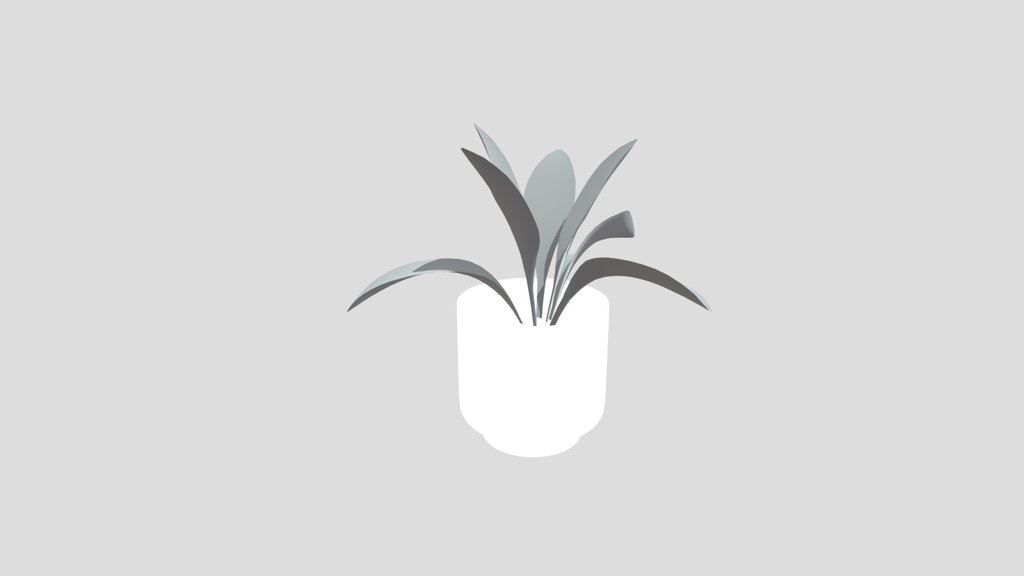 Haran Iron Plant Tiny Potted