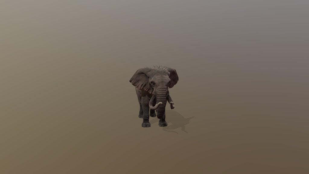 Elephant