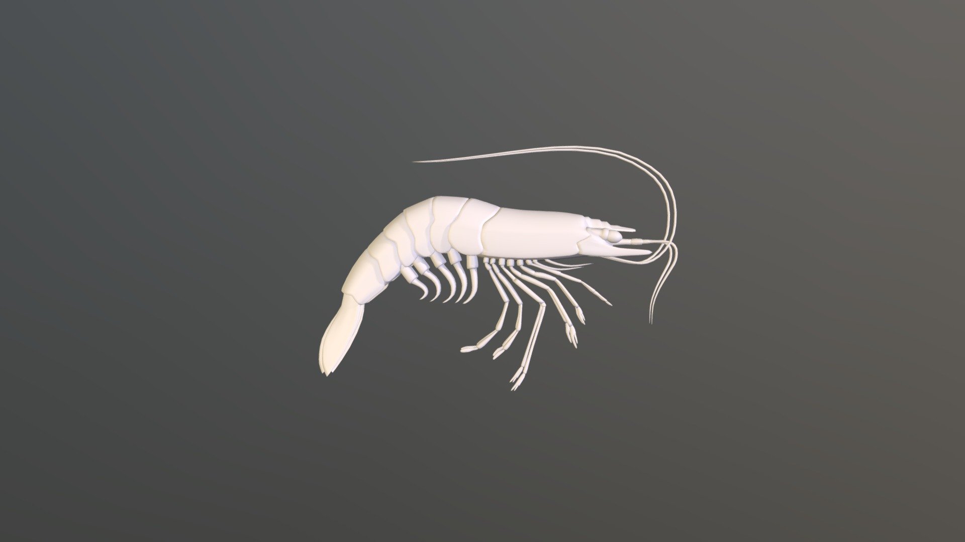Simulation Shrimp Figurine Shrimp Figure Shrimp Model Simulation