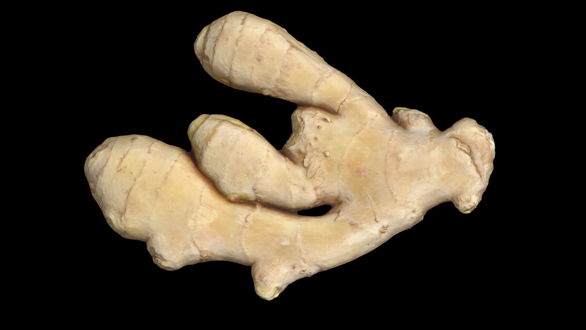 Ginger (High Poly)