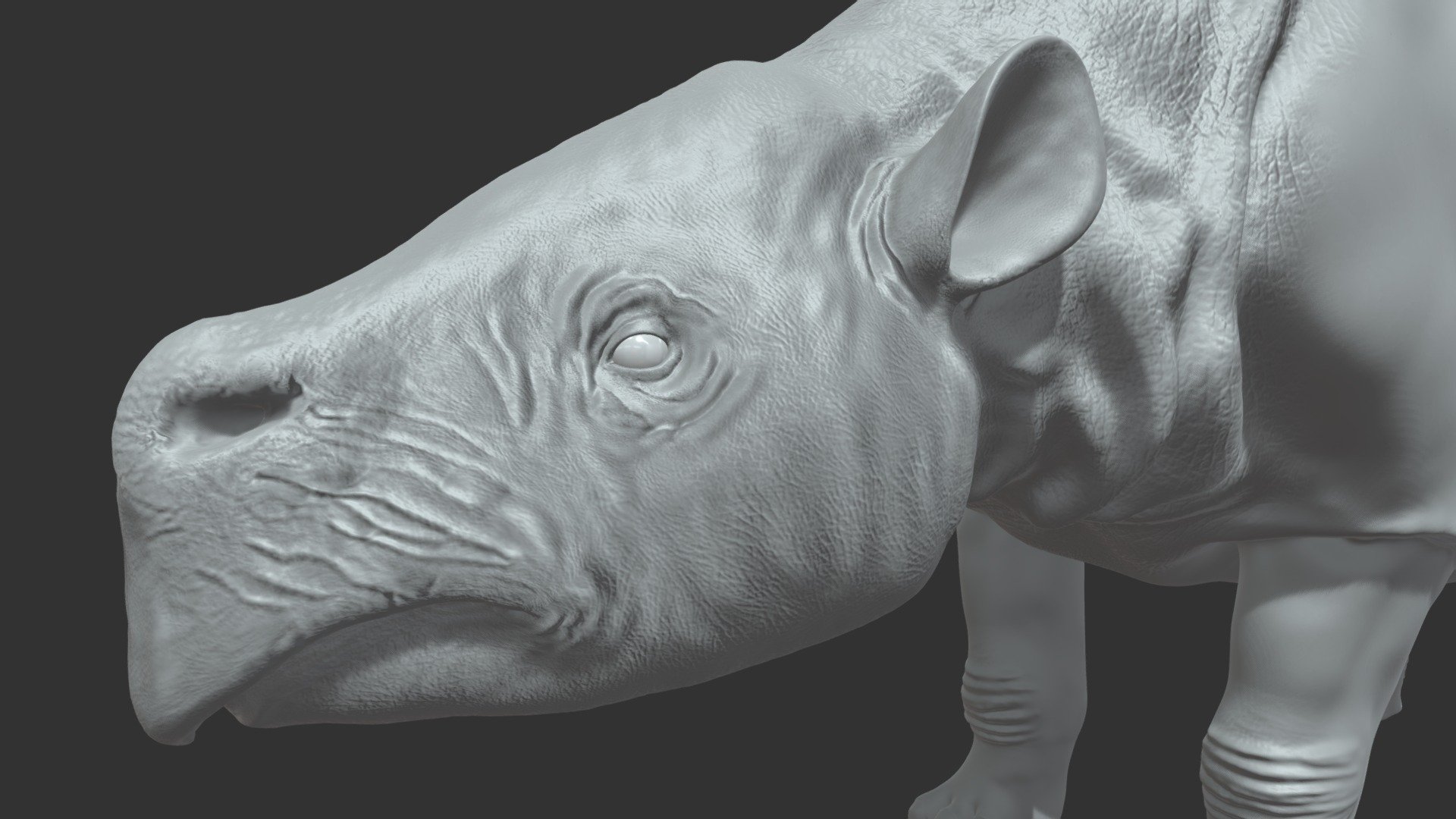 Toxodon(WIP) — Sketchfab embed 3D viewer