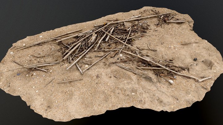 Driftwood_003_(object_on_the_beach) – Modello 3D gratuito STL