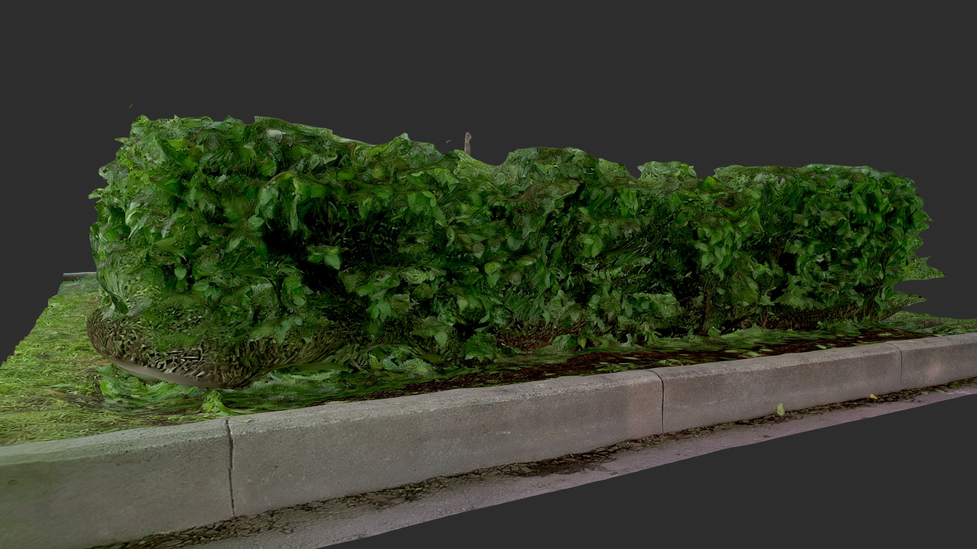3D model Bush. 0 Park. Plant. - This is a 3D model of the Bush. 0 Park. Plant.. The 3D model is about a large green plant.