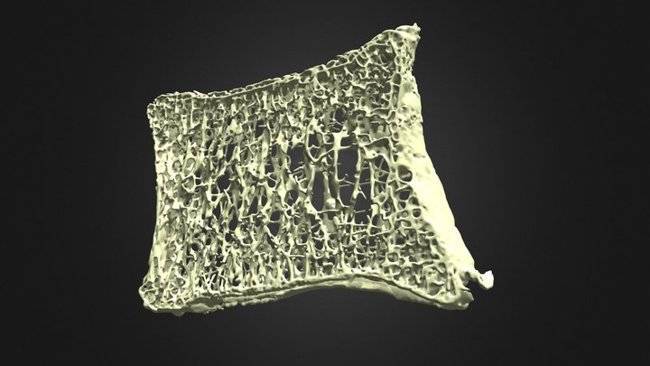 16 - F86 3D Model