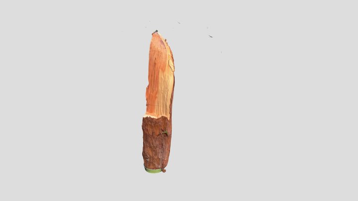 Redwood Bomb Cyclone 3D Model