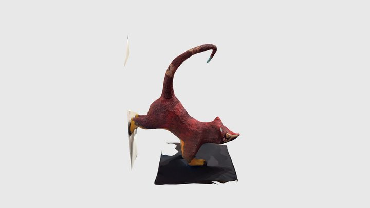 Coati 3D Model