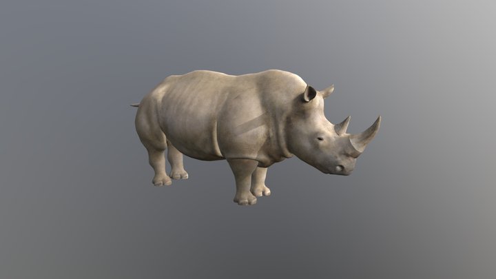 Realistic Rhino 3D Model