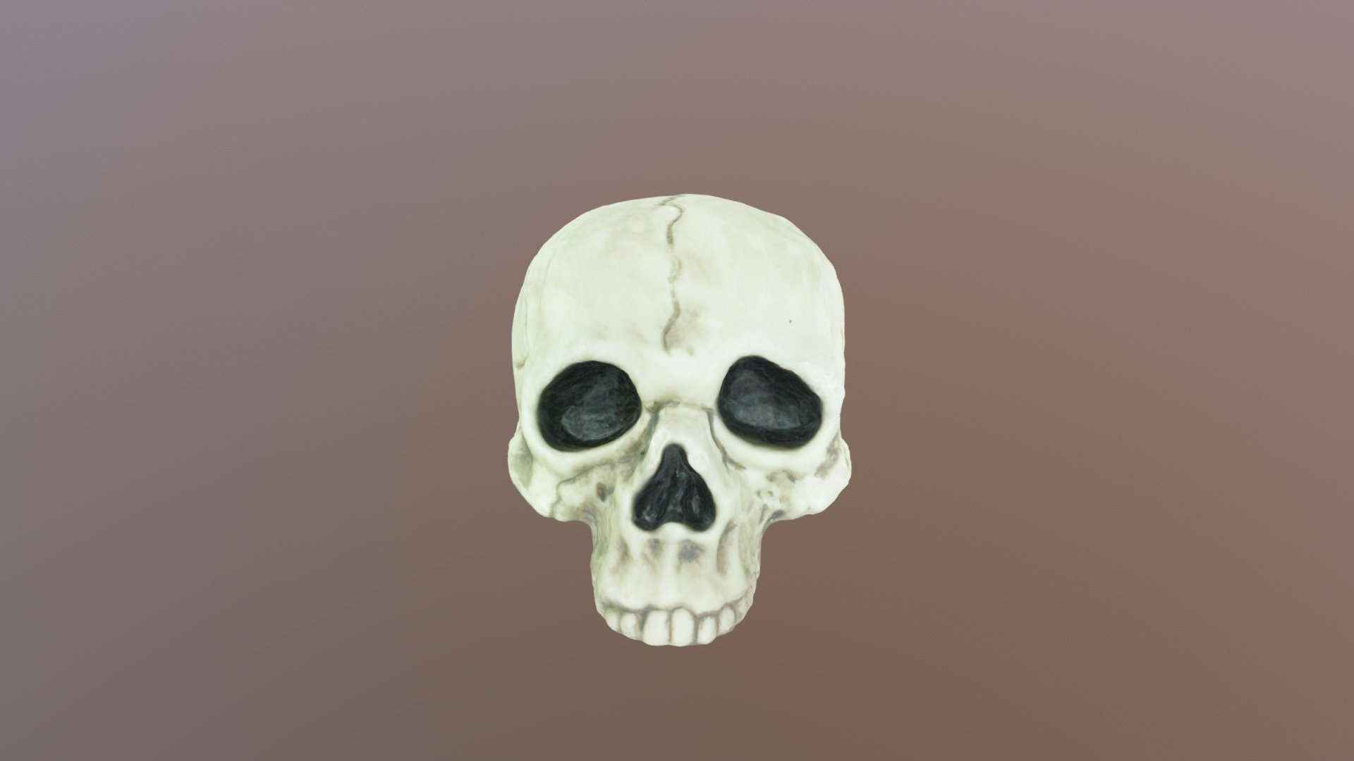 Skull Attempt 2 - 3D model by ngrinnan [161cb6a] - Sketchfab