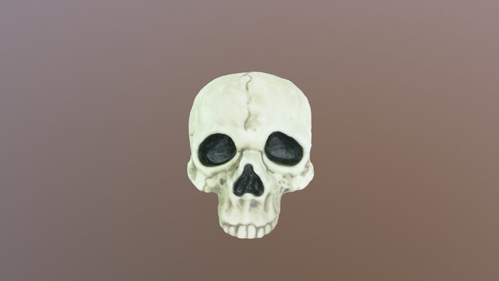 Skull Attempt 2 3D Model