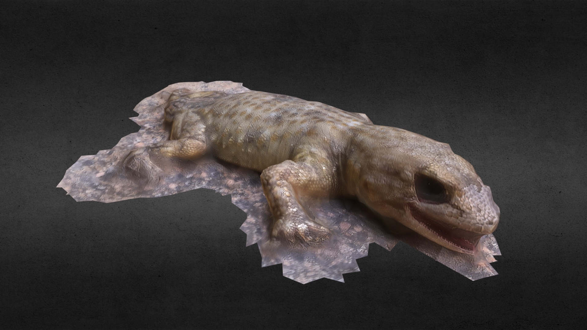 3D model Dead Lizard Reptile - This is a 3D model of the Dead Lizard Reptile. The 3D model is about a lizard on a black surface.