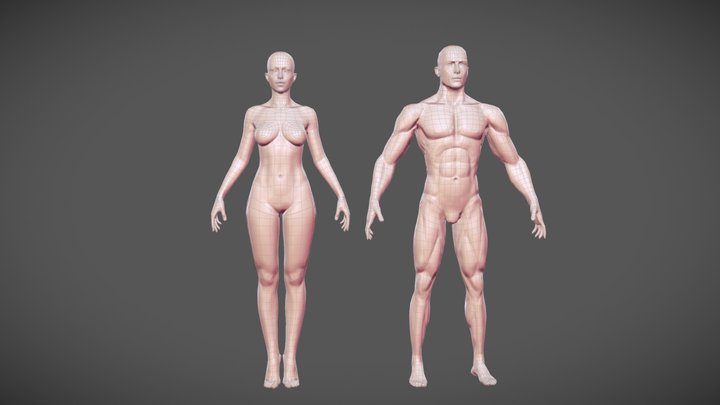 Lowpoly Male And Female Base Mesh 3D Model